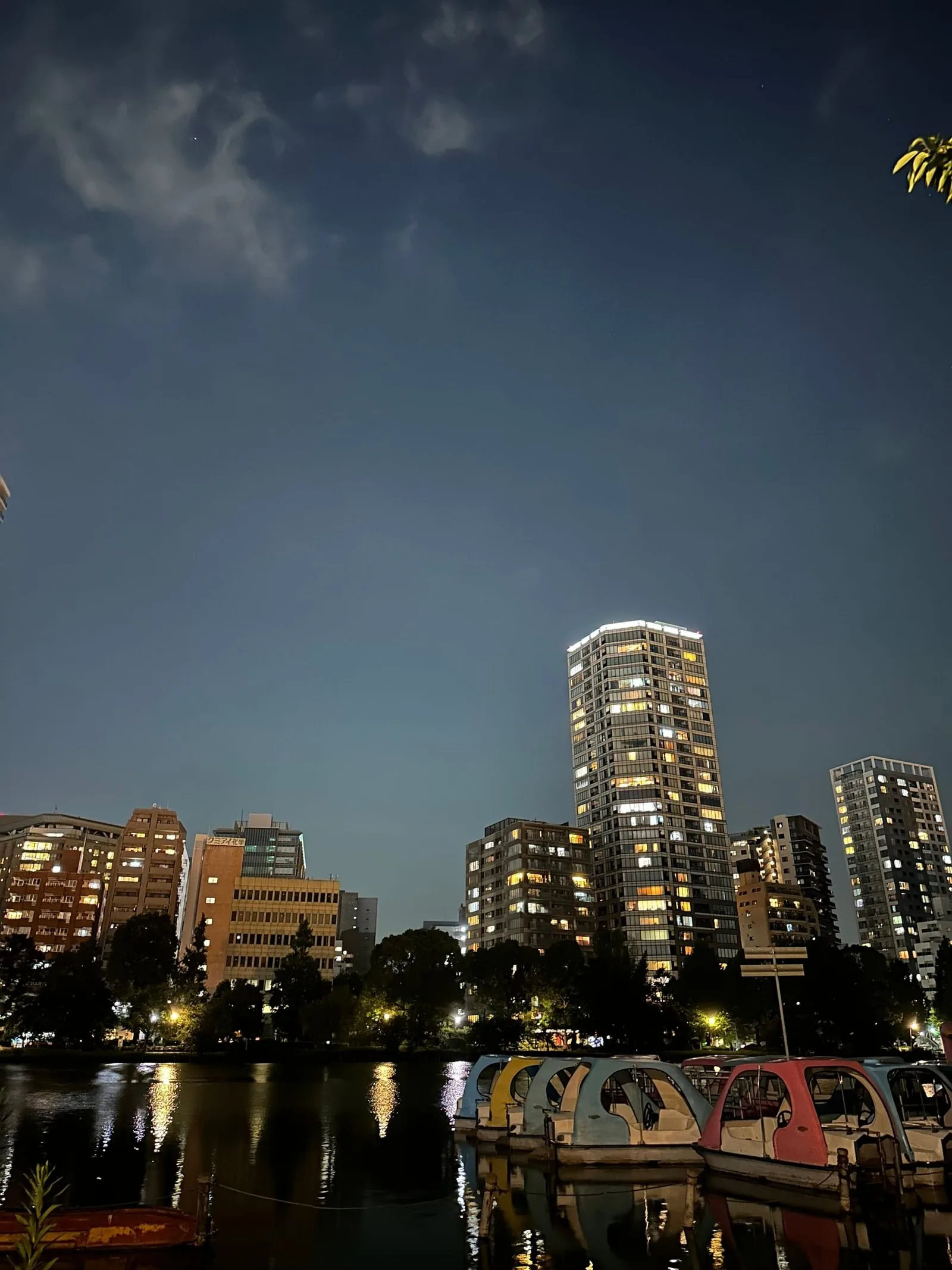 Japan: The Melody of the People